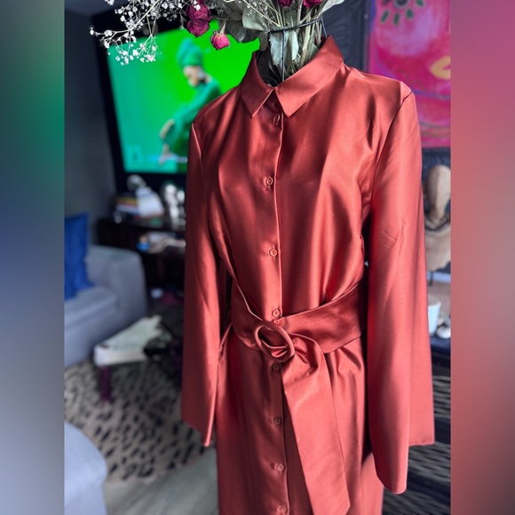 ASOS Button down dress - Picture 4 of 13